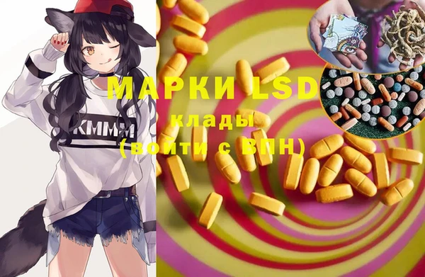 стафф Арсеньев