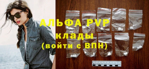 стафф Арсеньев