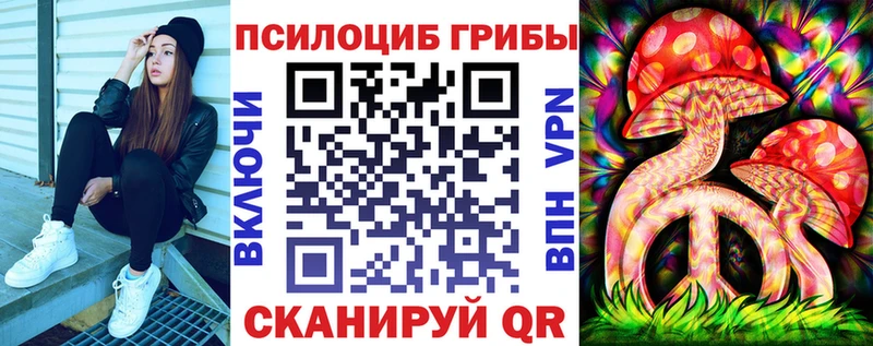 Псилоцибиновые грибы Psilocybine cubensis  Рудня 