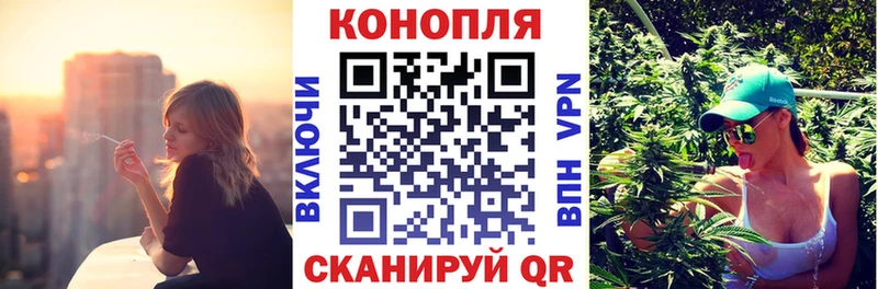 Конопля индика  цена   Рудня 